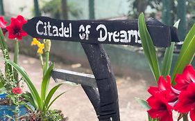 Citadel Of Dreams Ella